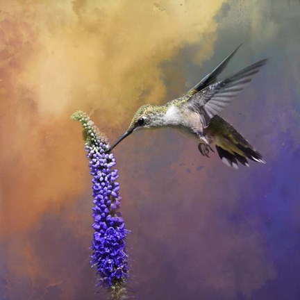 Framed Take It From The Top Print