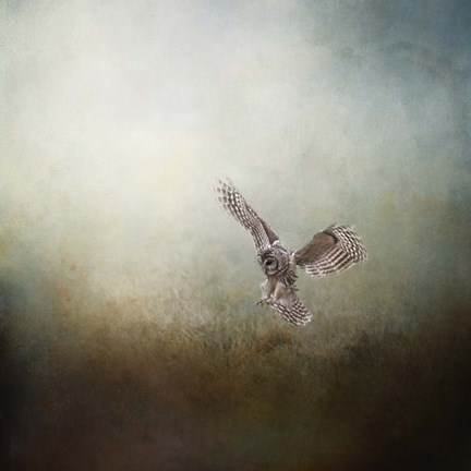 Framed Lone Hunter Print