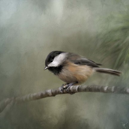 Framed Tiny One Print