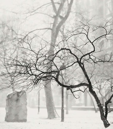 Framed All the Live Long Day II Print