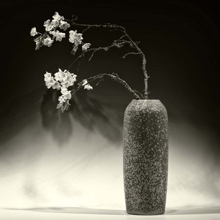 Framed Still Life with Apple Blossoms Print