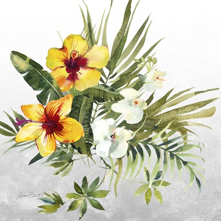 Framed Beautiful Orchids C Print