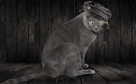 Framed Barn Cat Print