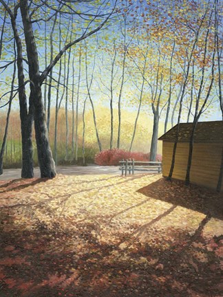 Framed Enchanted Light Print