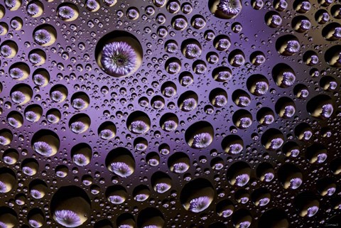 Framed Window Drops 1 Print