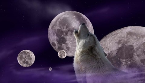 Framed Five Moons Print