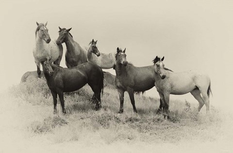 Framed Badlands Antique 2 Print