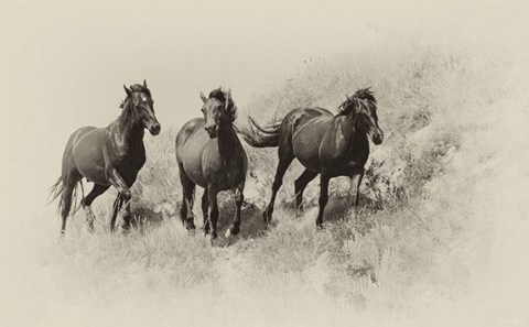 Framed Badlands Antique 3 Print