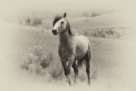Framed Badlands Antique 15 Print