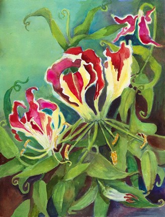 Framed Flame Lilies Print