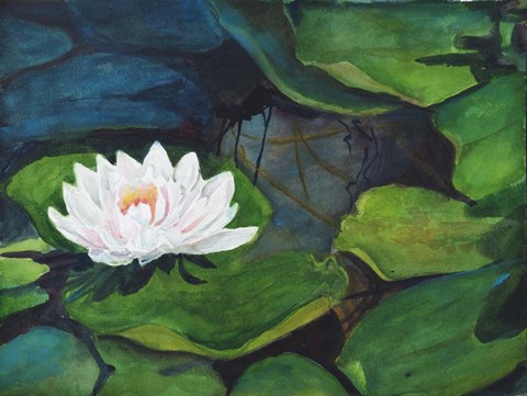 Framed White Waterlily Print