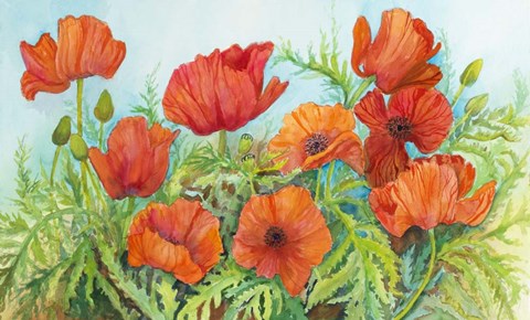 Framed Poppies in a Field Print