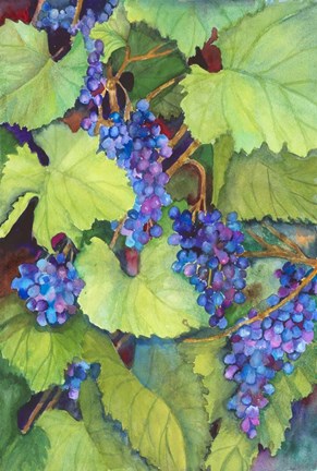 Framed Wine Grapes Print
