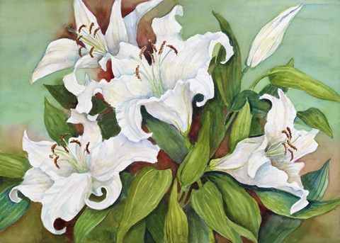 Framed Casa Blanca Lilies Print