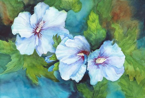 Framed Hibiscus with Red Centers Print