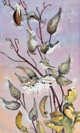 Framed Milkweeds Print