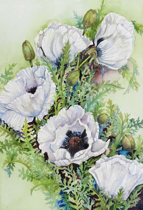 Framed White Poppies Print