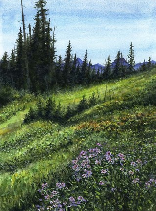 Framed Alpine Treasures Print