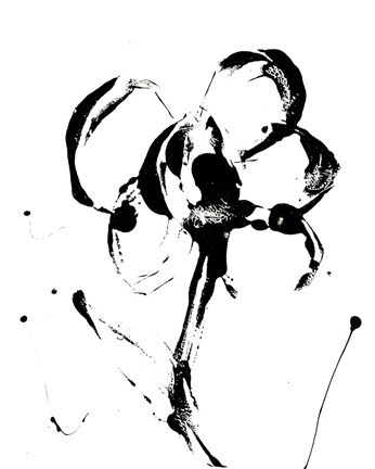 Framed Flower Squiggle II Print