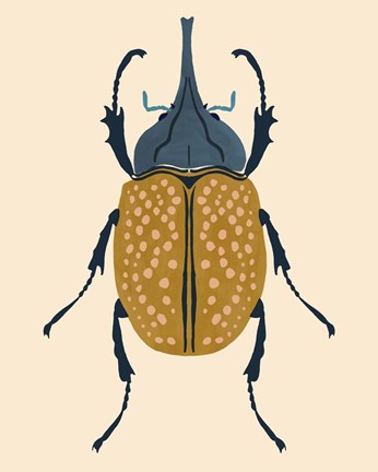 Framed Beetle Bug II Print