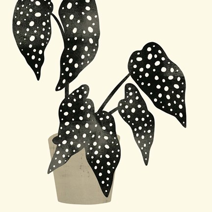 Framed Plantling III Print