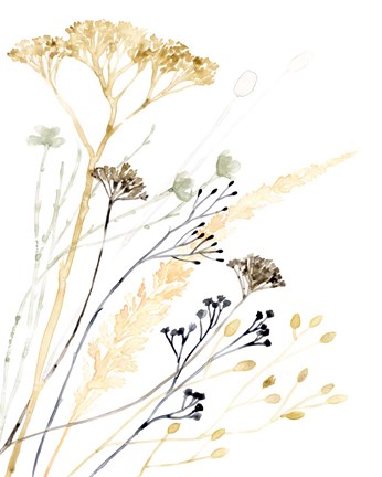 Framed Summer&#39;s Souvenir II Print