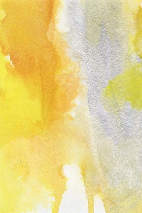 Framed Golden Reflections II Print