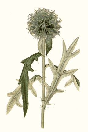 Framed Soft Blue Botanicals VI Print