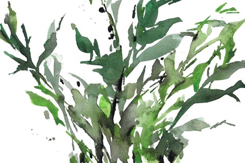 Framed Just the Leaves II Print