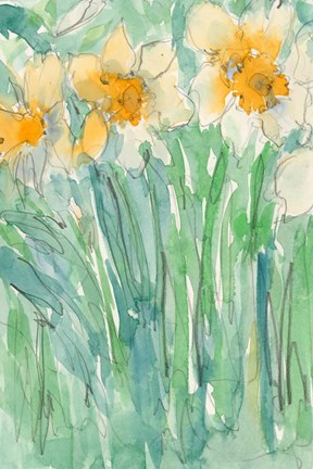 Framed Daffodils Stems I Print