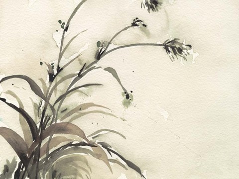 Framed Plant of the Age II Print