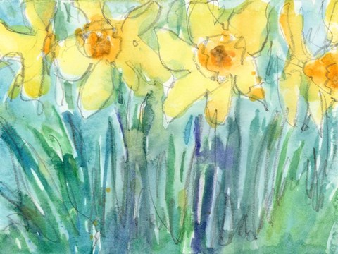 Framed Daffodil Blooms I Print