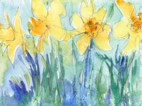 Framed Daffodil Blooms II Print