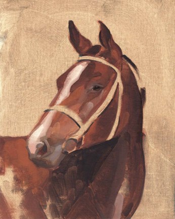 Framed Thoroughbred III Print