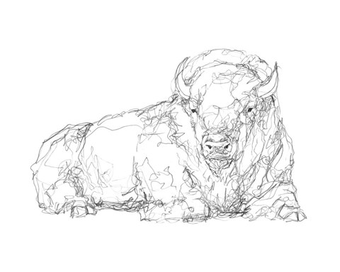 Framed Bison Contour Sketch I Print