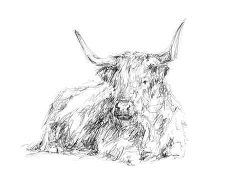 Framed Highland Cattle Sketch I Print