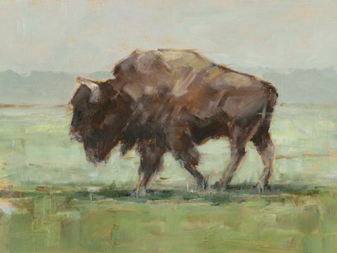 Framed Where the Buffalo Roam II Print