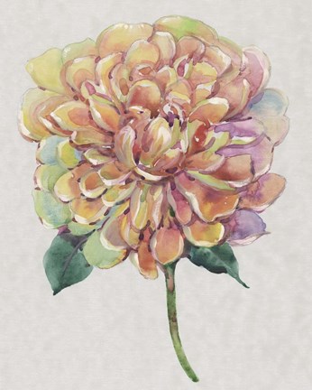 Framed Multicolor Floral I Print