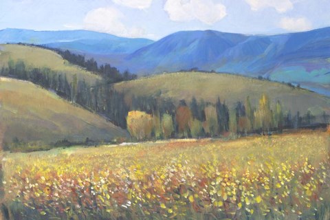 Framed Mountain Pass I Print