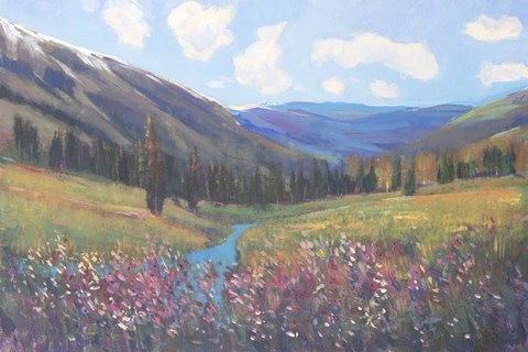 Framed Mountain Pass II Print