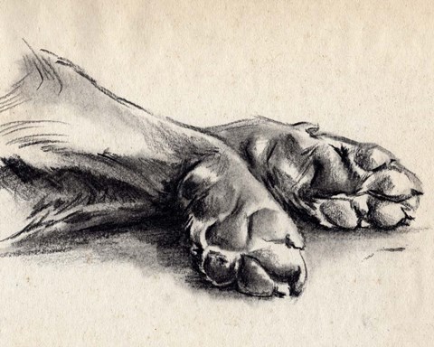 Framed Charcoal Paws II Print