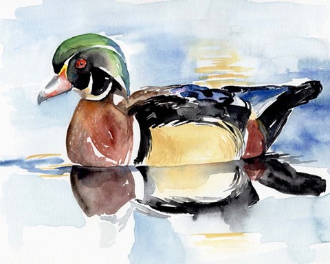 Framed Watercolor Woodduck I Print