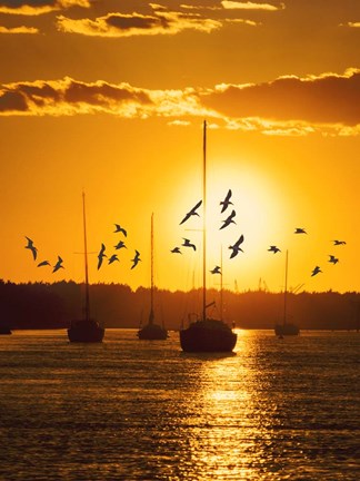 Framed Water &amp; Land II Print