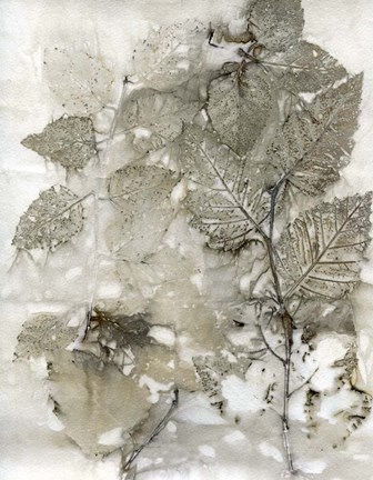 Framed Birch Leaves I Print