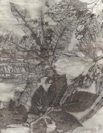 Framed Multi Leaves I Print