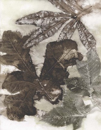 Framed Oak Leaves Print