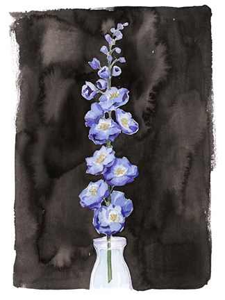 Framed Blue Delphinium I Print