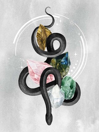 Framed Crystalline Serpent I Print