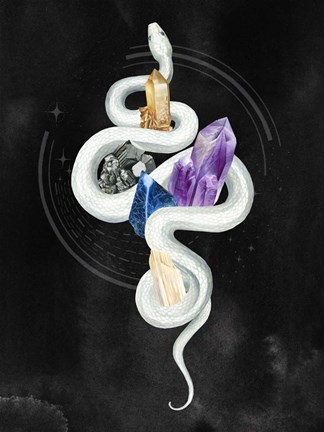 Framed Crystalline Serpent II Print