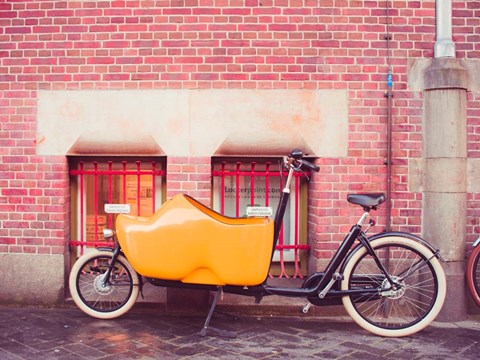 Framed European Charms II Print